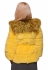 Шубка женская из меха рекс sarci-2836